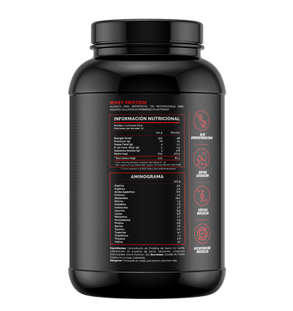 4Active Whey Protein 840g | 30 Servicios · 21g Proteína · Recuperación Muscular Diaria